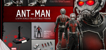HOT TOYS NEW ANTMAN IN THIS WEEK!